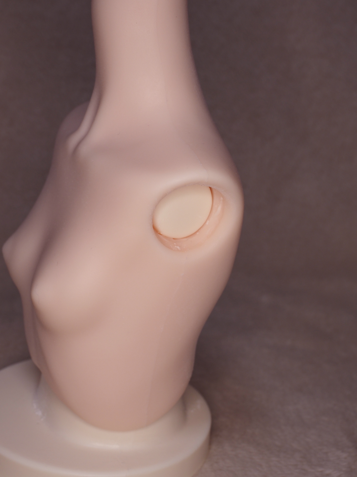 真・ちっぱい
